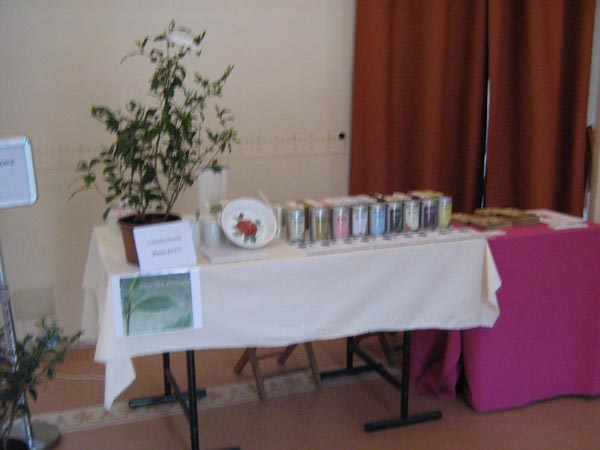 Angera mostra 2008